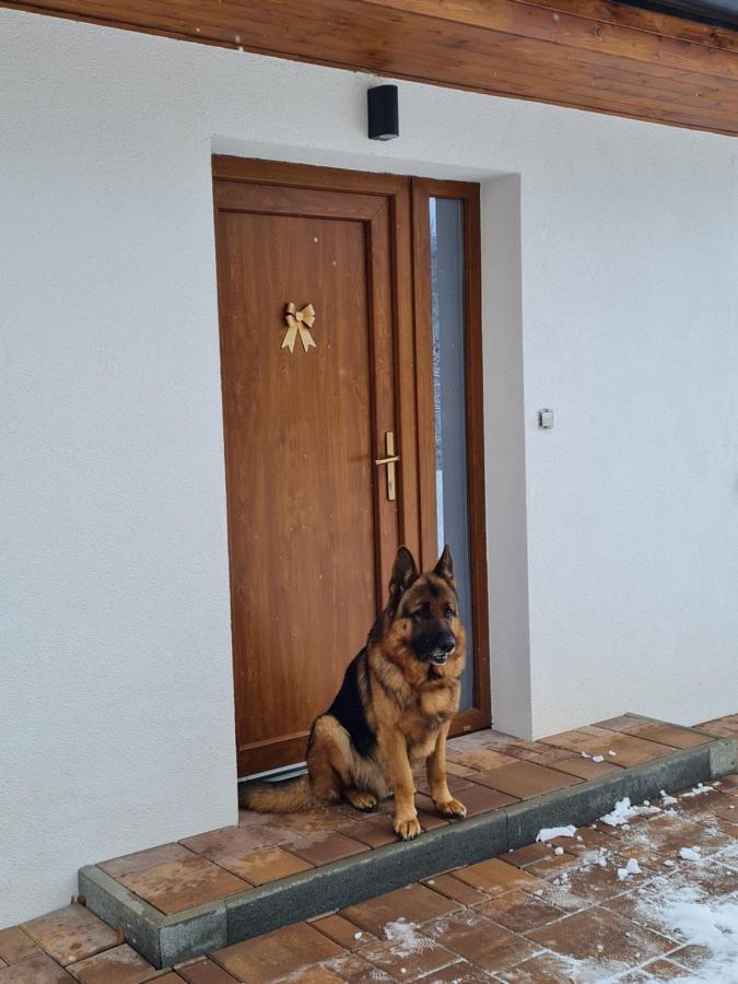 Apartmany Bystra-Chopok Brezno Exteriör bild
